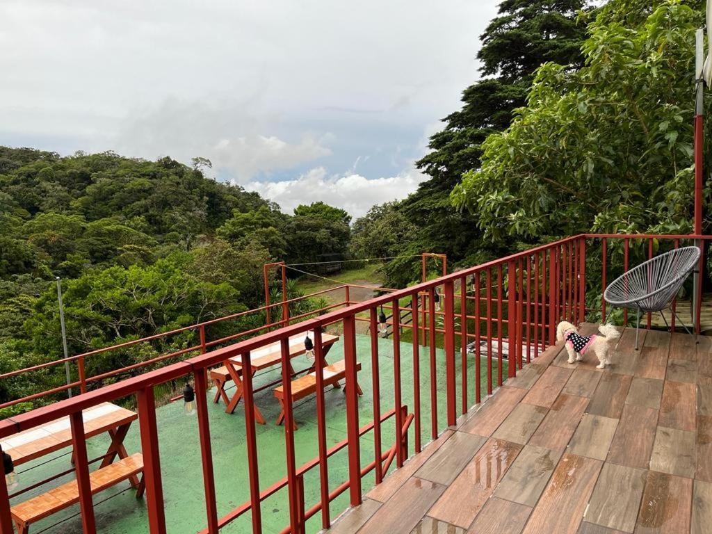 Monteverde Monkey Hostel Exterior foto